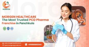Morgen Healthcare: The Most Trusted PCD Pharma Franchise in Panchkula